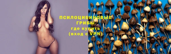 гидра Алексин