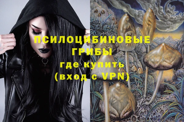 a pvp Алексеевка