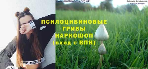 a pvp Алексеевка
